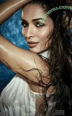 Malaika Arora / malaikaaroraofficial nude photo #0170