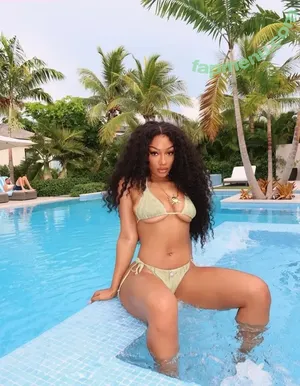 Megan Thee Stallion / megan_renee316 / theestallion nude photo #0335