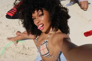 Megan Thee Stallion / megan_renee316 / theestallion nude photo #0342
