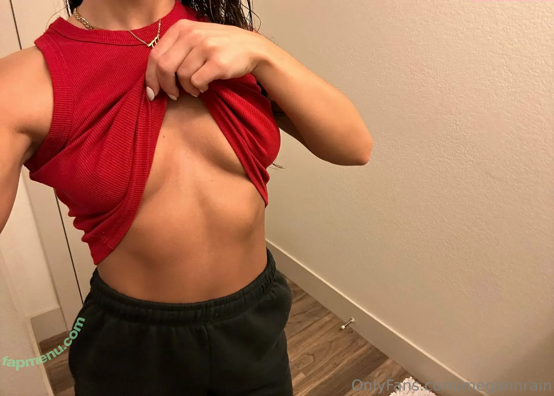 megannreign nude photo #0132 (meganrain)