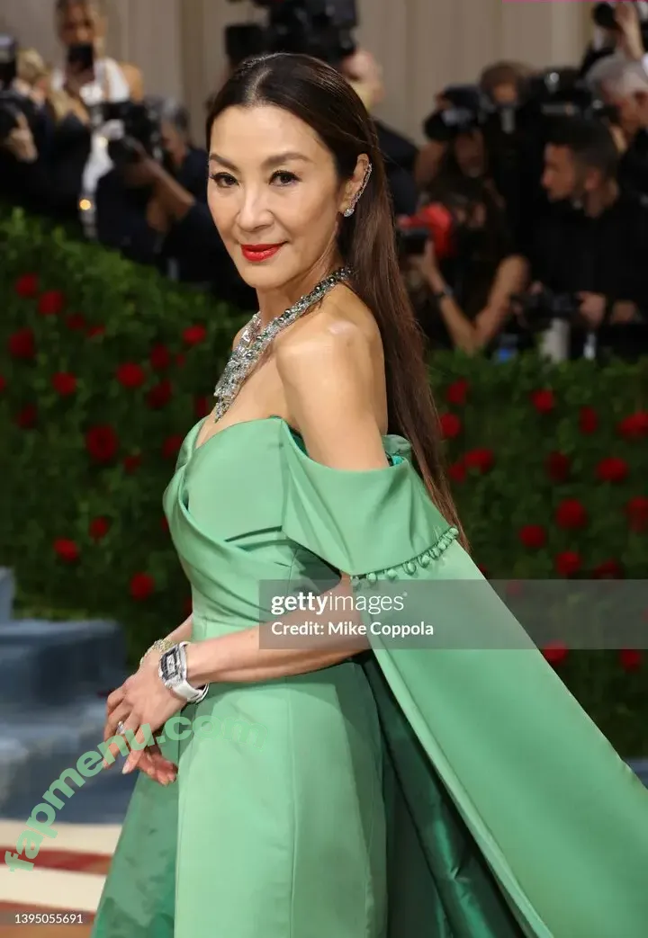 Michelle Yeoh nude photo #0145 (michelleyeoh_official)