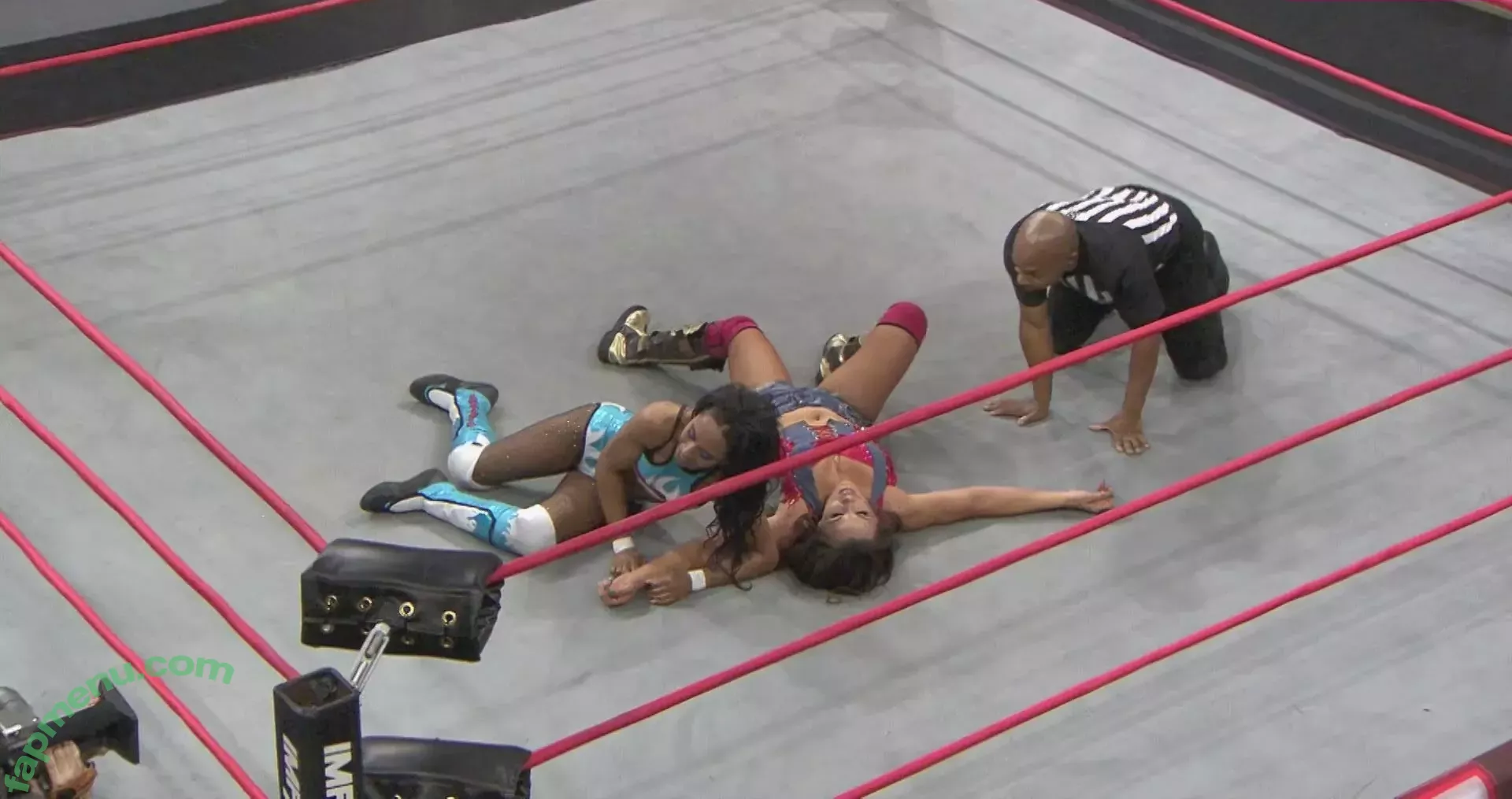 Mickie James nude photo #0413 (michelejames / themickiejames)