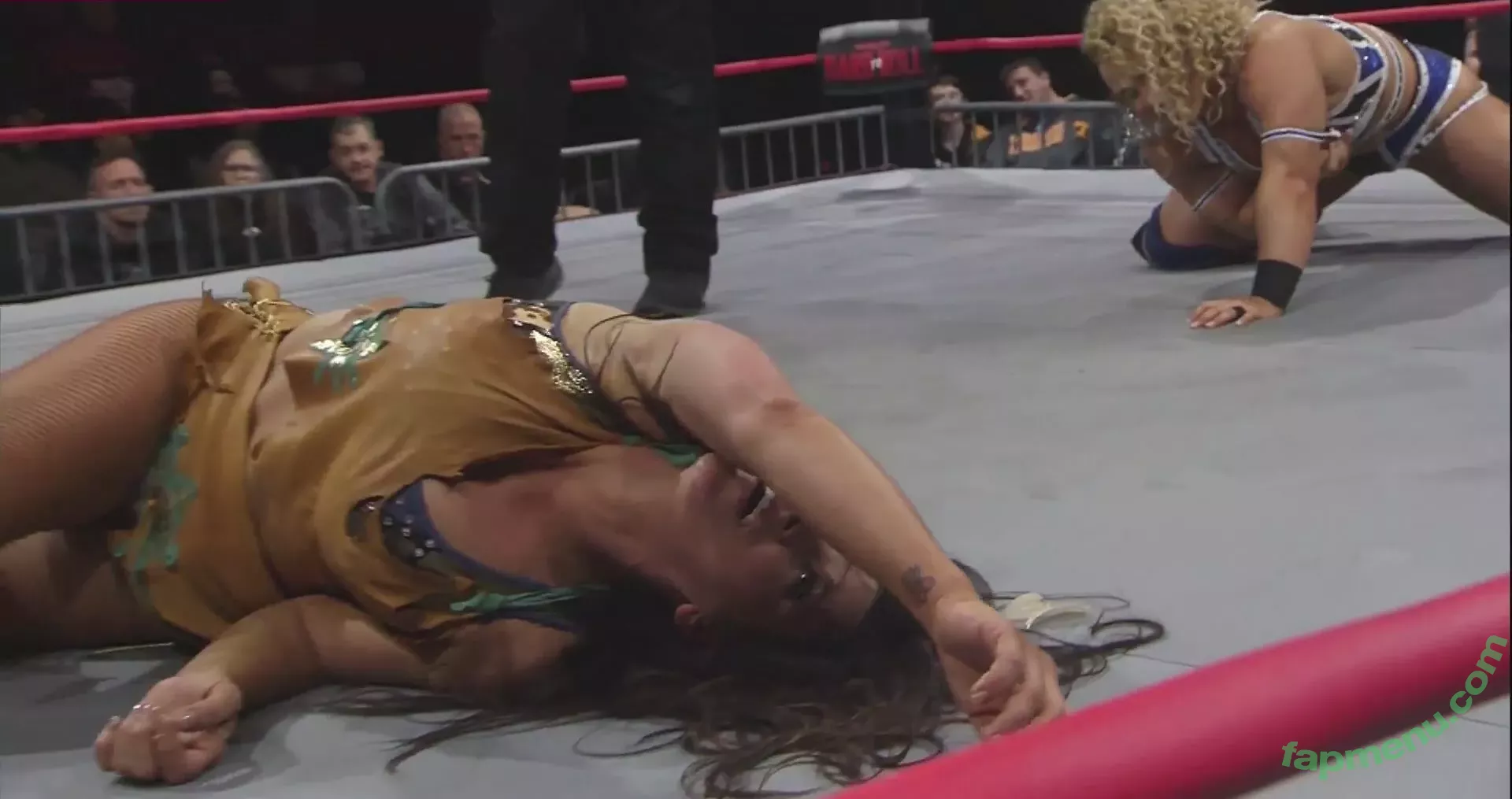 Mickie James nude photo #0492 (michelejames / themickiejames)