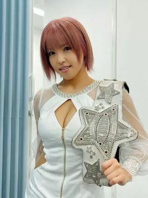 Mina Shirakawa / mina_shirakawa nude photo #1887