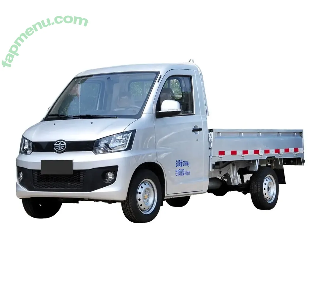 Minitruck nude photo #0009 (Minitruck)