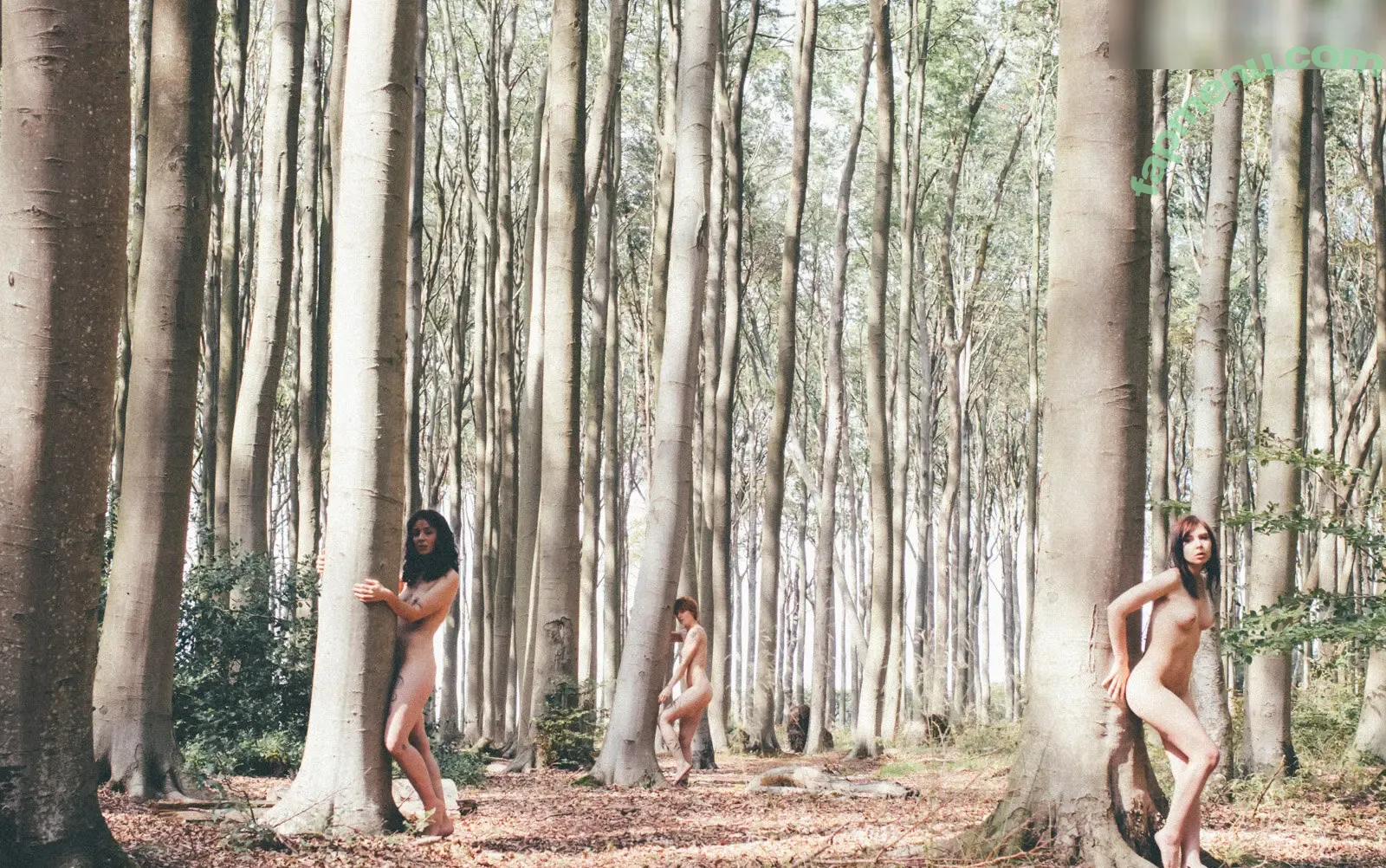 Muriel la Roja nude photo #0034 (muriel_la_roja / taste_of_taboo)