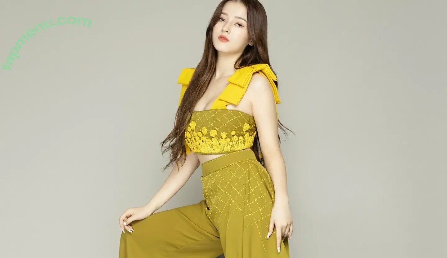 Nancy Momoland nude photo #0052 (nancyjewel_mcdonie_)