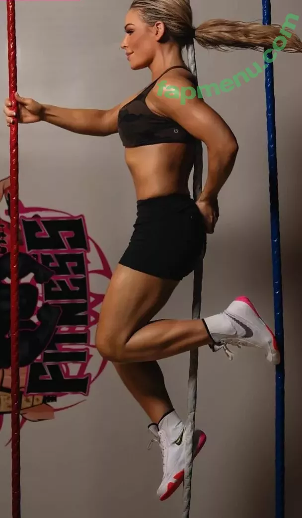 Natalya Neidhart nude photo #0356 (Wwe / jenni-neidhart / natalya_boat)