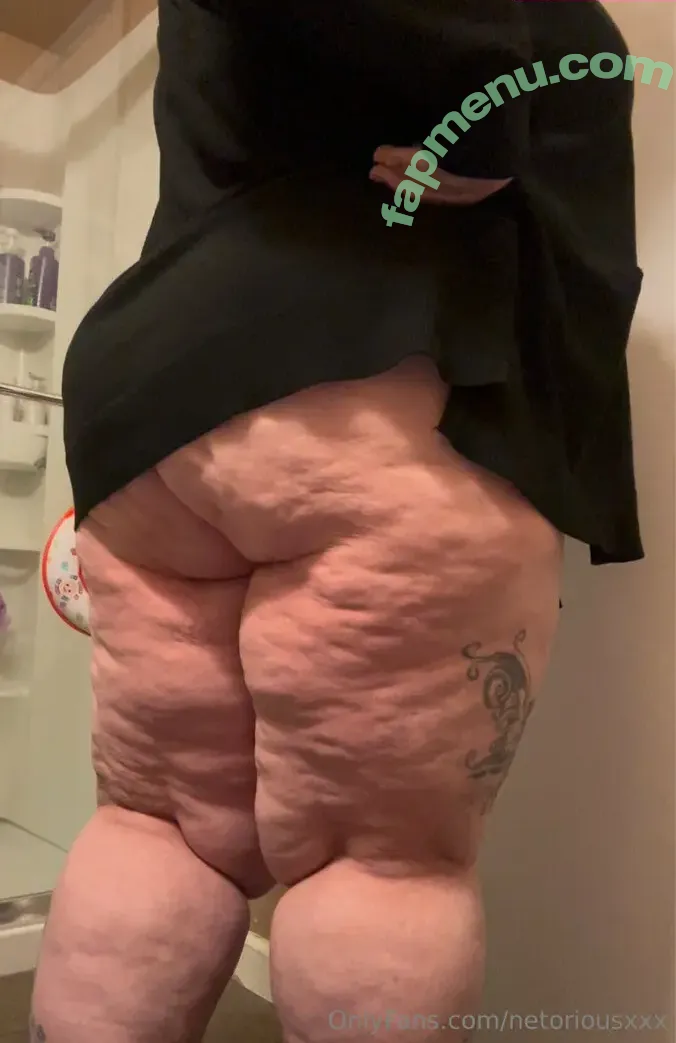 netoriousxxx nude photo #0009 (thenetoriousone)
