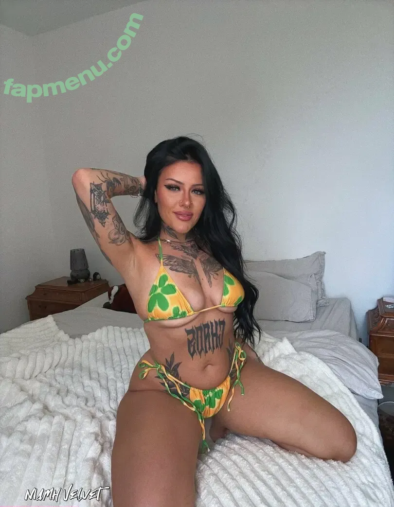 niamhvelvetvip nude photo #0156 (niamhvelvet)