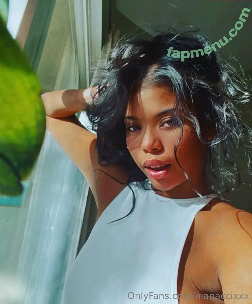 nianaccixxx nude photo #0152 (naughtynianacci)