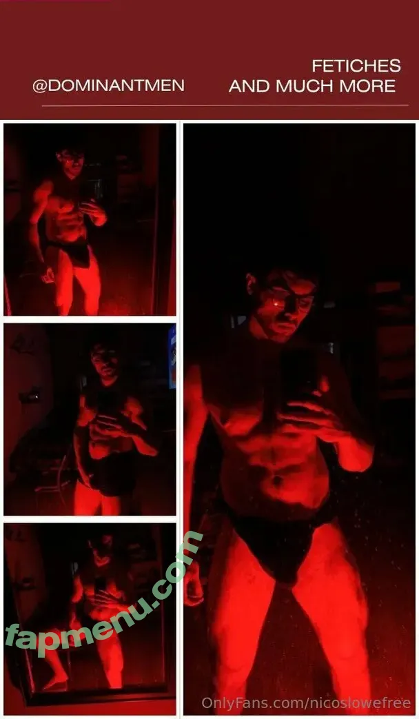 nicoslowefree nude photo #0070 (nicogoofs)