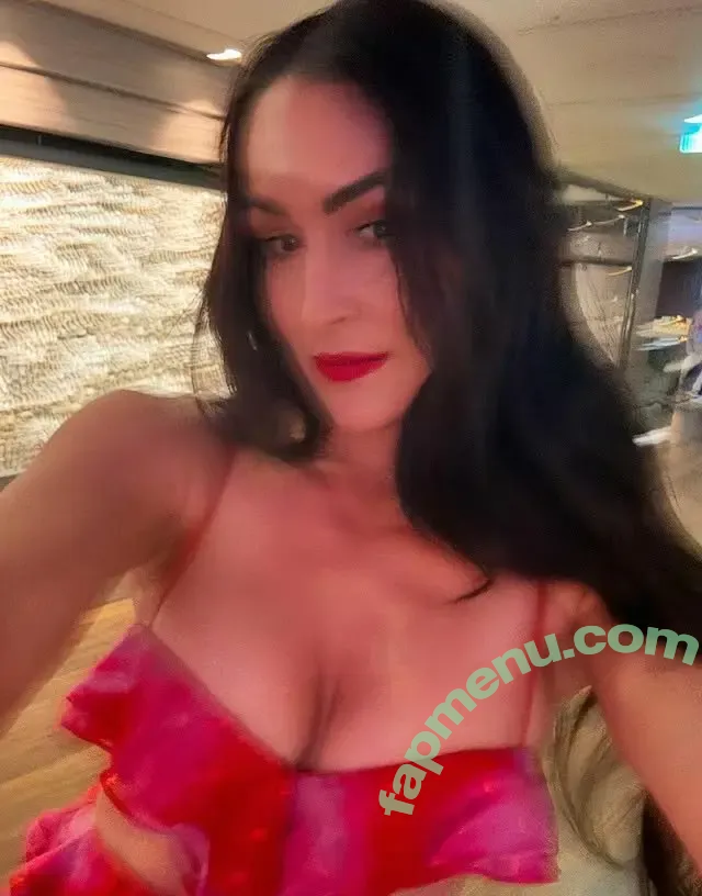 Nikki Bella nude photo #0133 (thenikkibella)