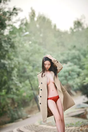 nnian_ / nianlin / nnian_011 nude photo #0483