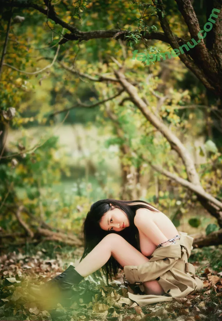 nnian_ nude photo #0474 (nianlin / nnian_011)