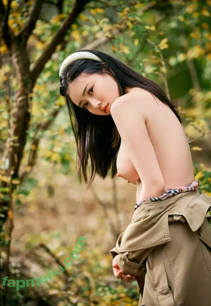 nnian_ nude photo #0478 (nianlin / nnian_011)