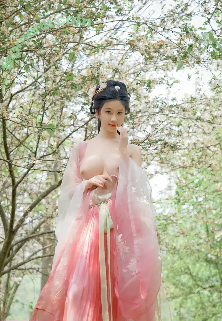 nnian_ nude photo #0871 (nianlin / nnian_011)