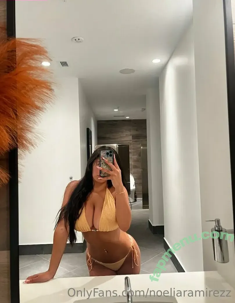 noeliaramirezz nude photo #0010 (noeliaramirezzz)