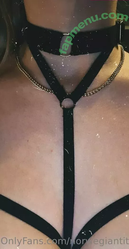 norwegiantittiess nude photo #0006 (norwegiantittiess)