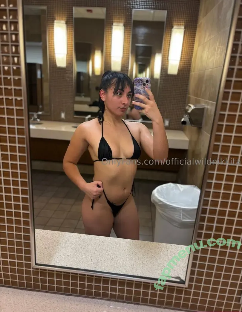 officialwildnikkita nude photo #0036 (awildnikkita)