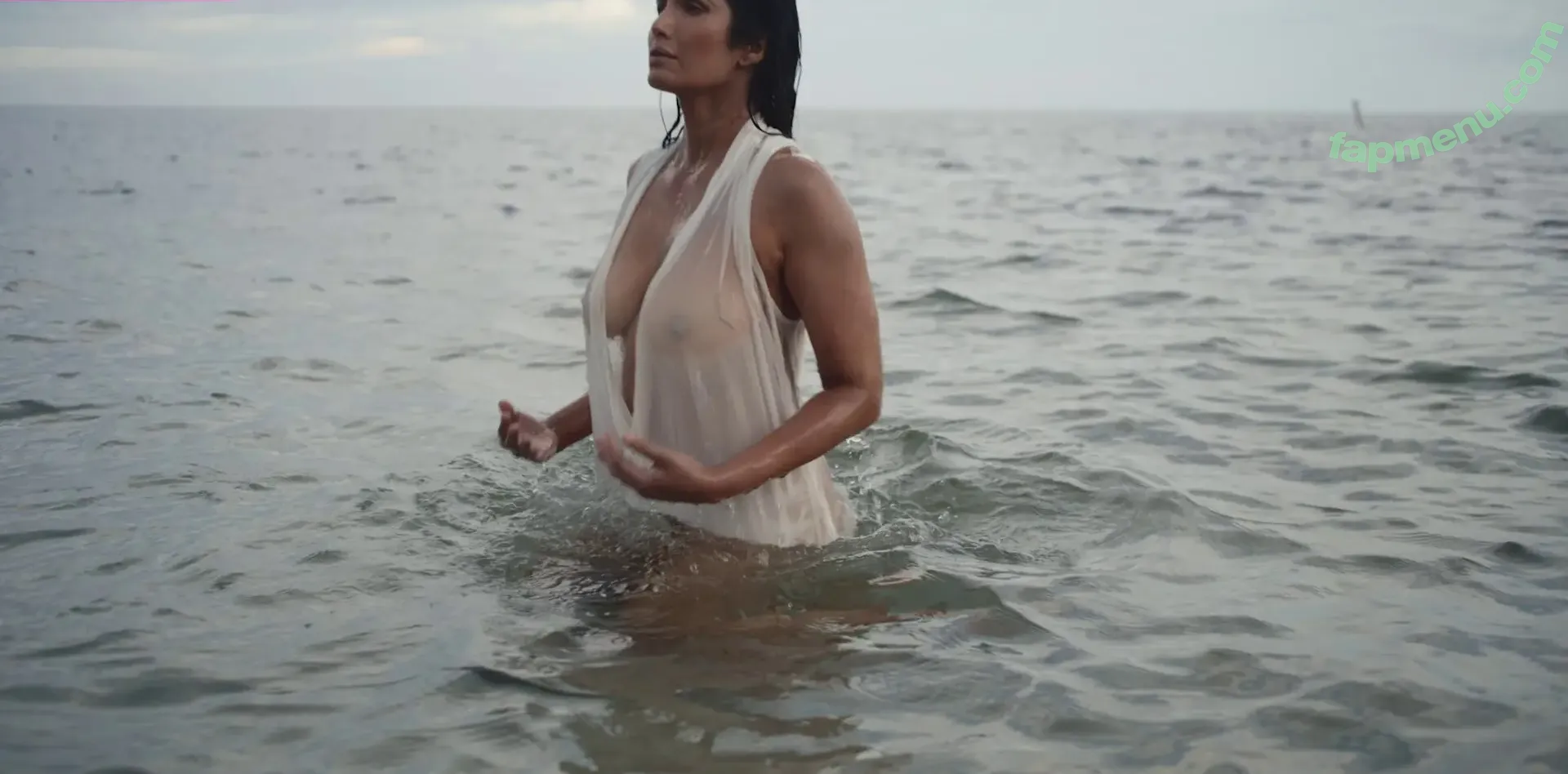 Padma Lakshmi nude photo #0480 (padmalakshmi)