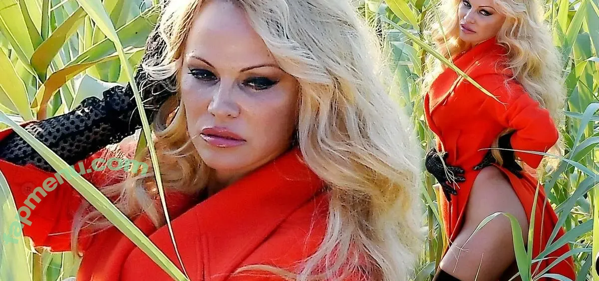 Pam Anderson nude photo #0016 (Pam Anderson)
