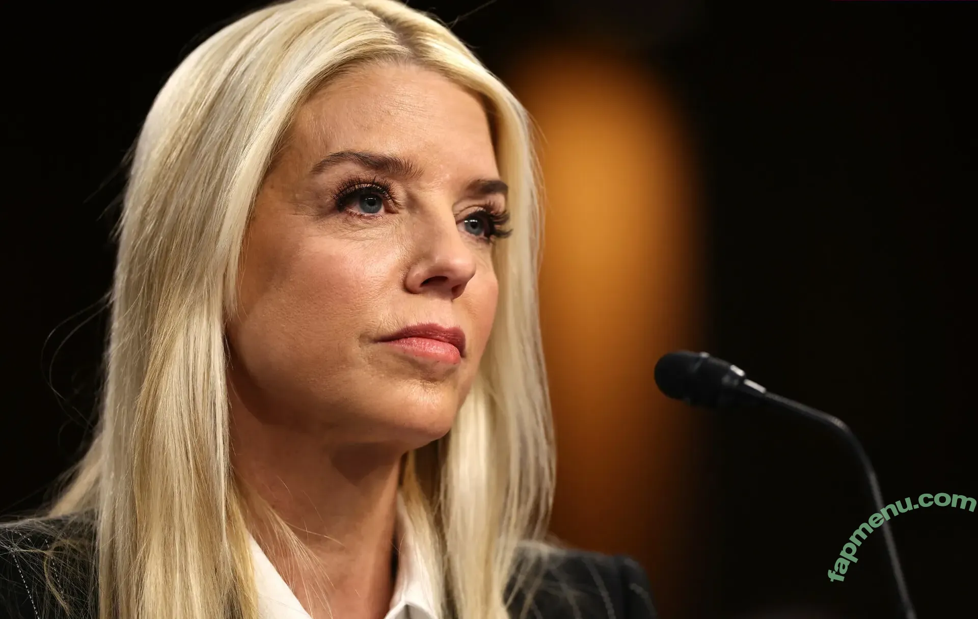 Pam Bondi nude photo #0002 (pambondi)
