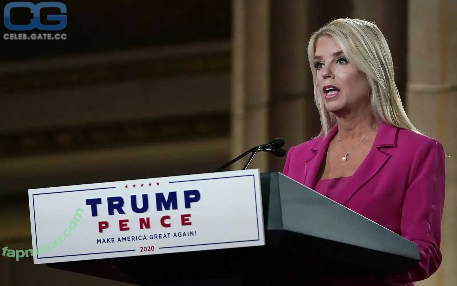 Pam Bondi nude photo #0018 (Pam Bondi)