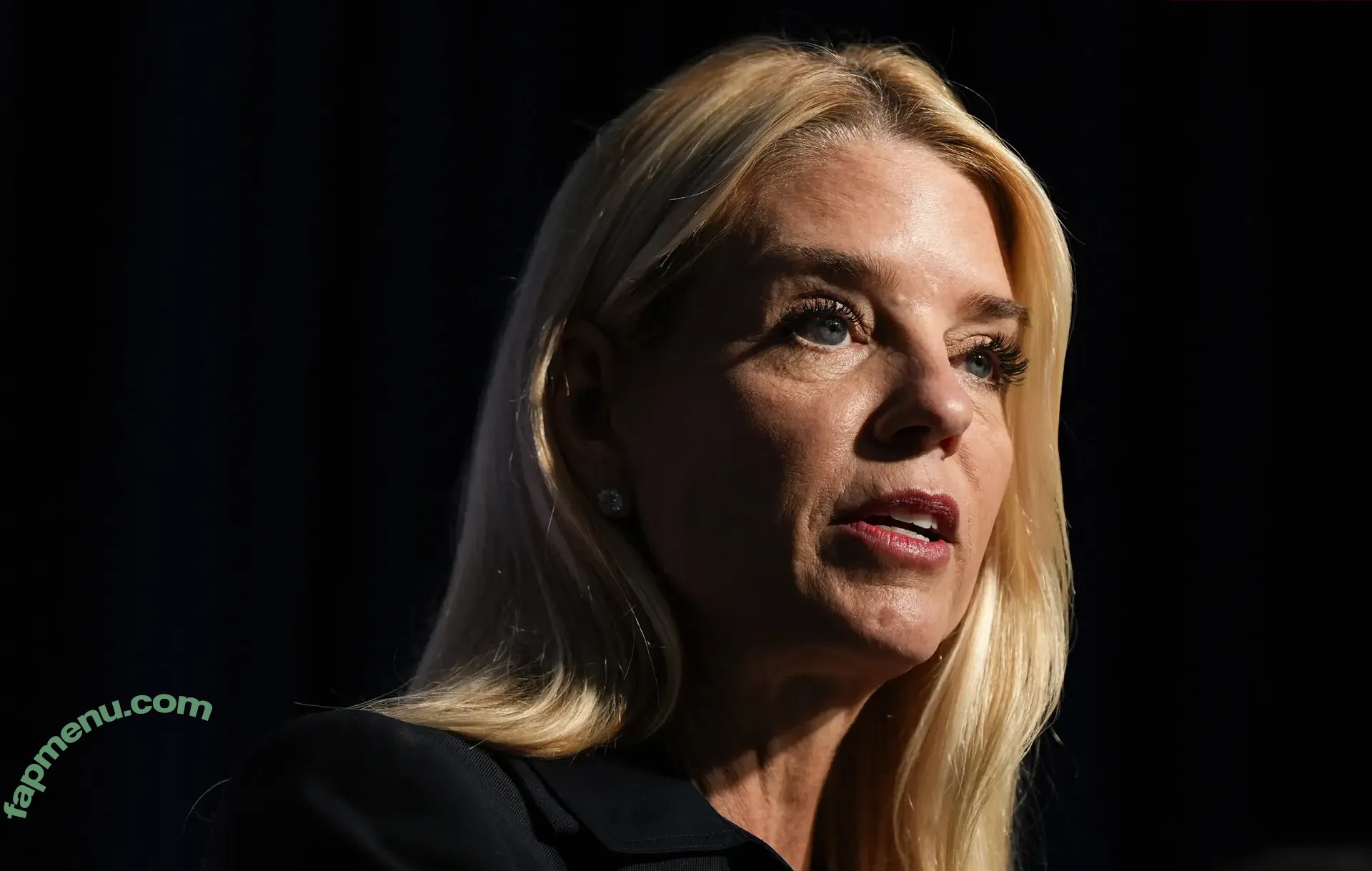 Pam Bondi nude photo #0023 (Pam Bondi)