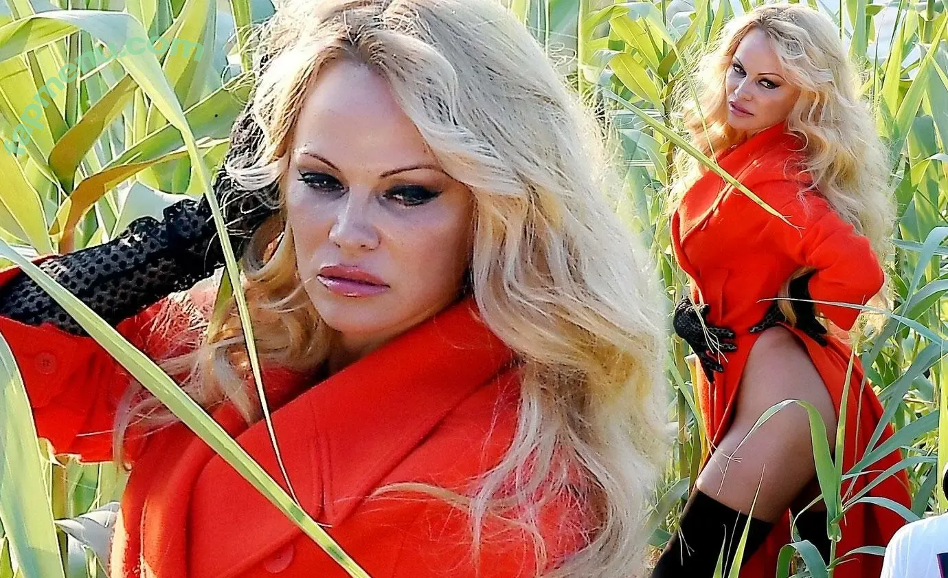 pamelaanderson nude photo #0001 (pamelaanderson)