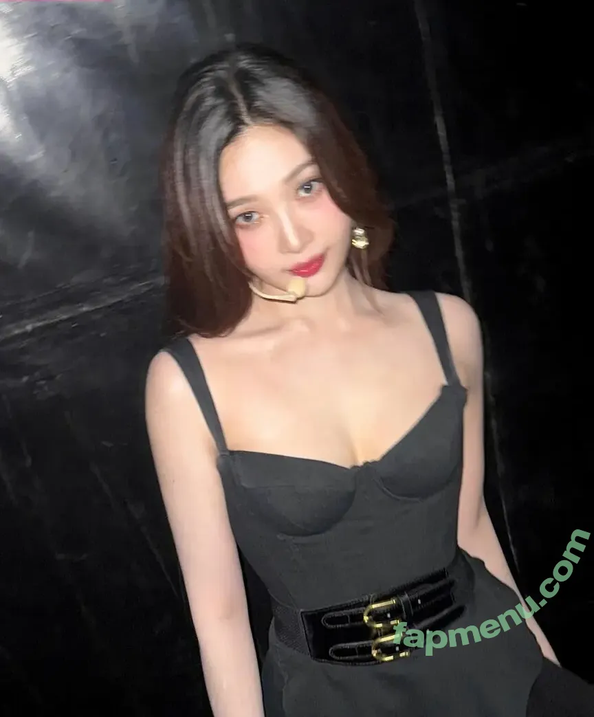Park Soo-young nude photo #0065 (_imyour_joy)