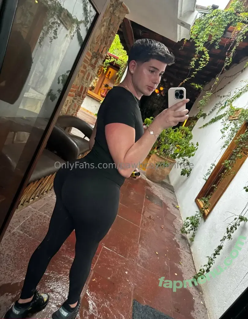pawbcaydenfree nude photo #0008 (_pawbcayden)