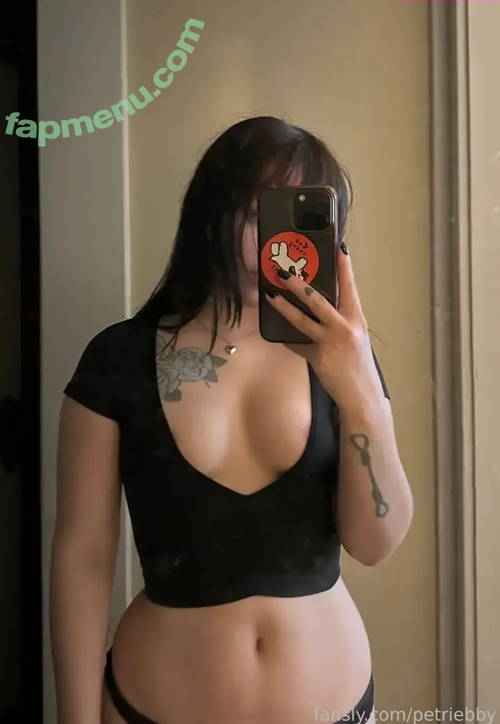 Petriebby nude photo #0007 (Petriebby)