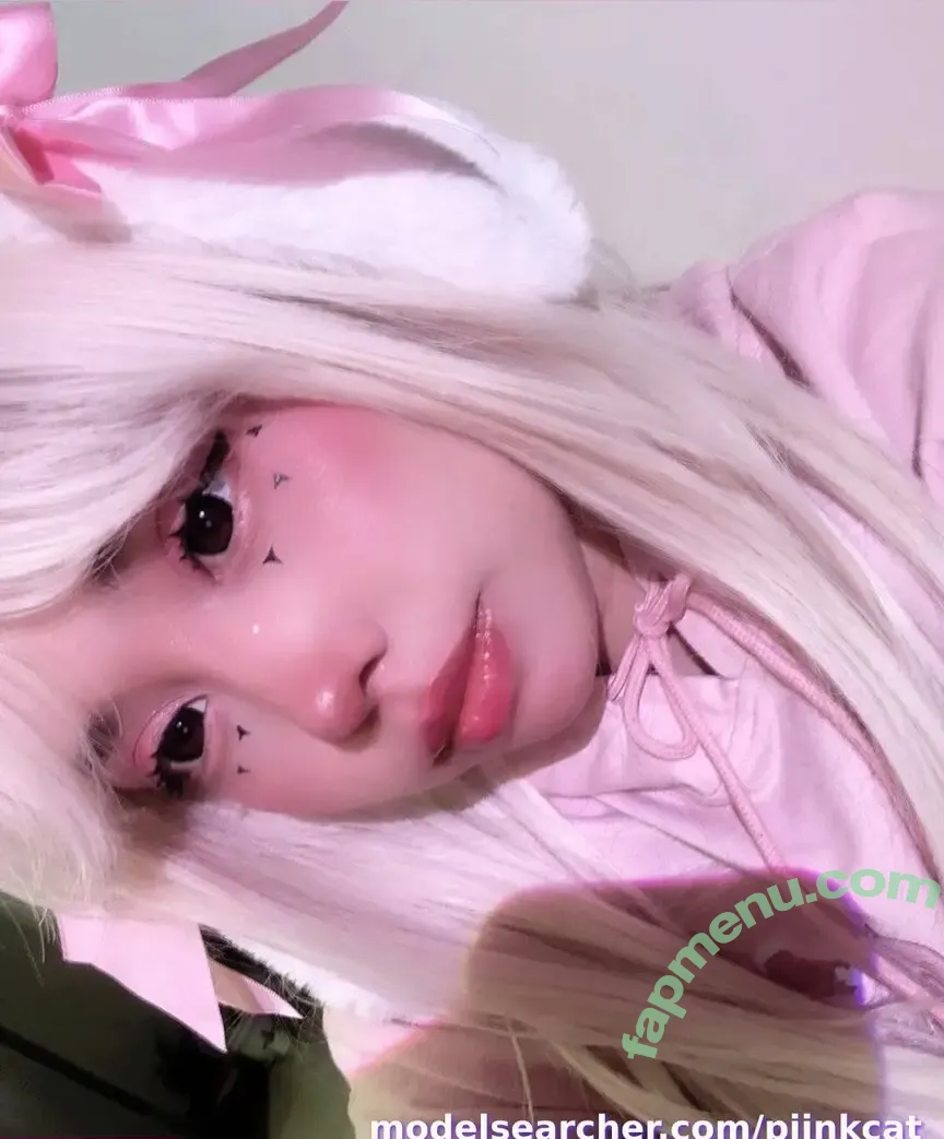 piinkcat nude photo #0008 (pinkcatdaily)