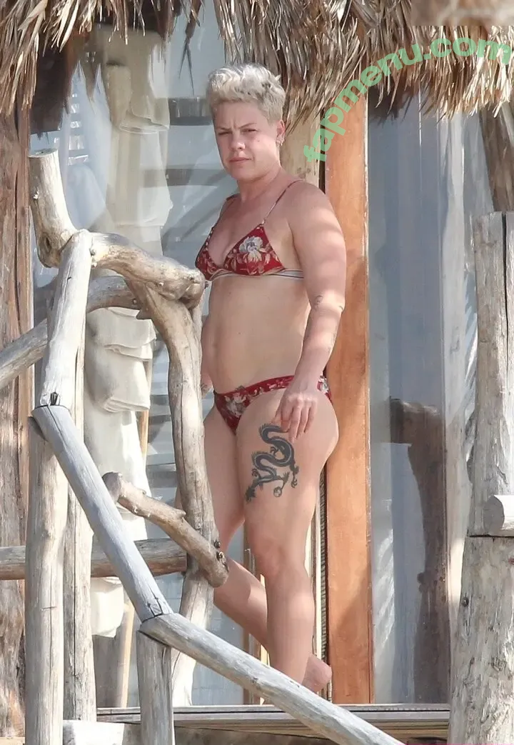 Pink nude photo #0369 (Alecia Beth Moore / pinksuicide)