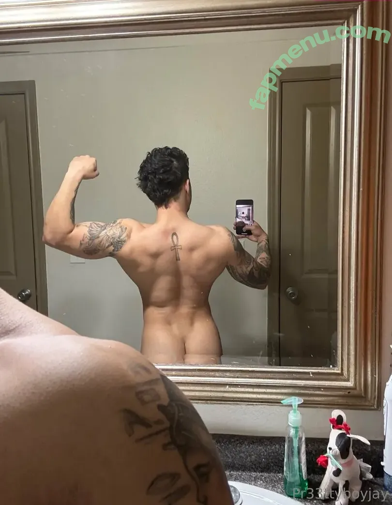 pr33ttyboyjay nude photo #0012 (reel)