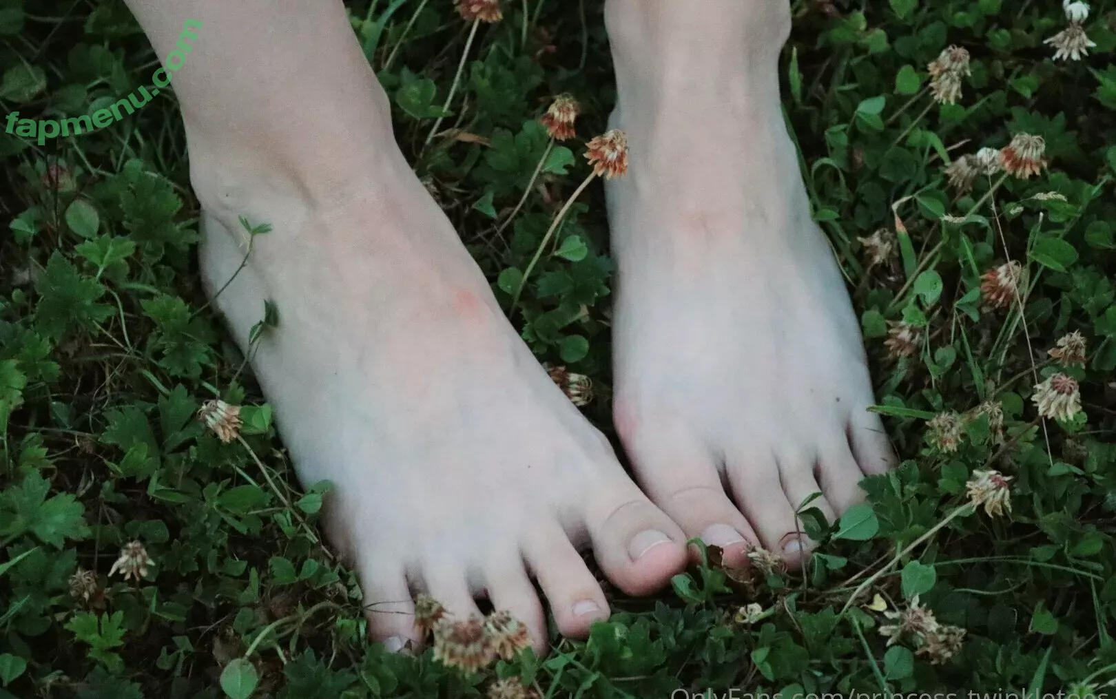 princess-twinkletoes nude photo #0084 (_princesstwinkletoes_)