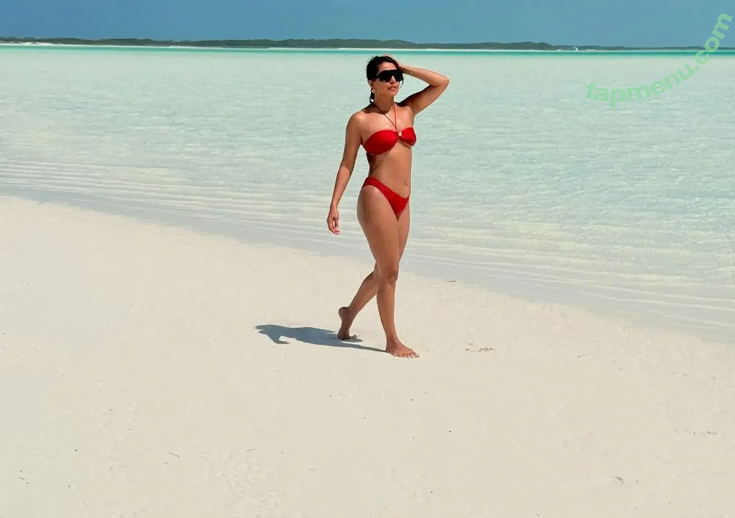 Priyanka Chopra nude photo #0271 (officialsherlynchopra / priyankachopra)