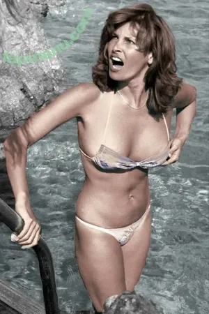 Raquel Welch / therealraquelwelch nude photo #0154