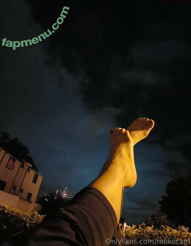 reokocam nude photo #0039 (reolinkcams)
