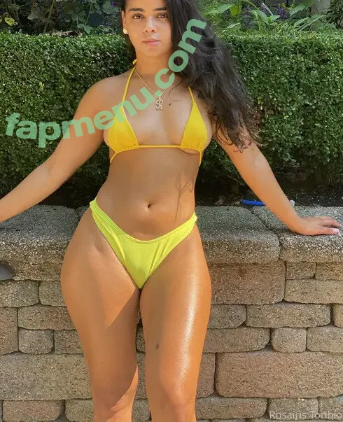 Rosairis Toribio Rosairis nude photo #0002 (rosairis)
