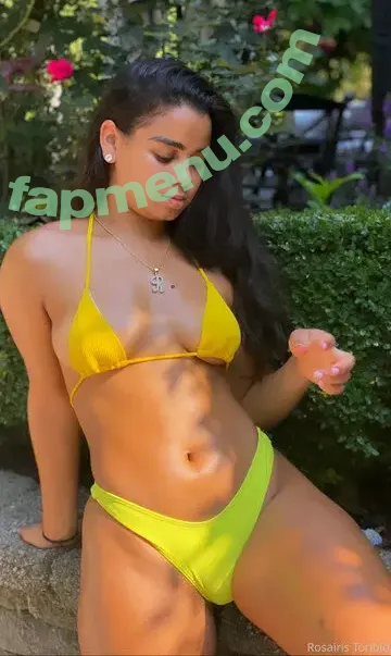 Rosairis Toribio Rosairis nude photo #0005 (rosairis)