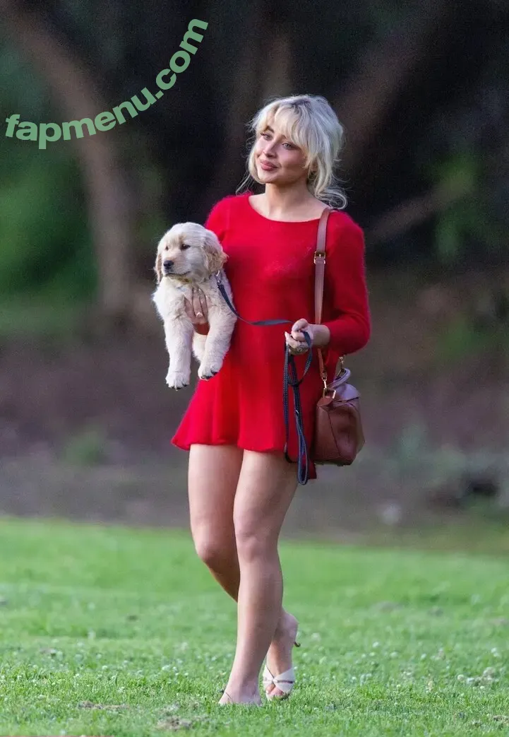 Sabrina Carpenter nude photo #5721 (sabrinacarpenter)
