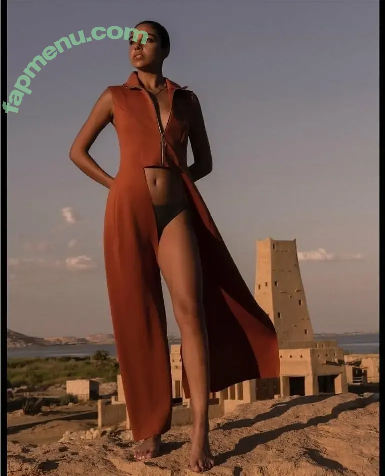 Salma Abu Deif nude photo #0082 (salmaabudeif)