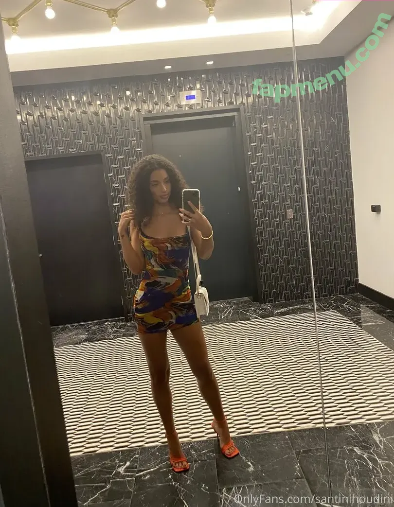 santinihoudini nude photo #0005 (santinihoudini)