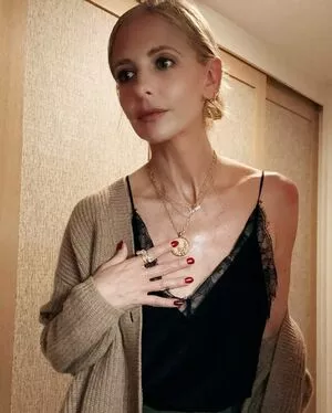 Sarah Michelle Gellar / sarahmgellar nude photo #0401