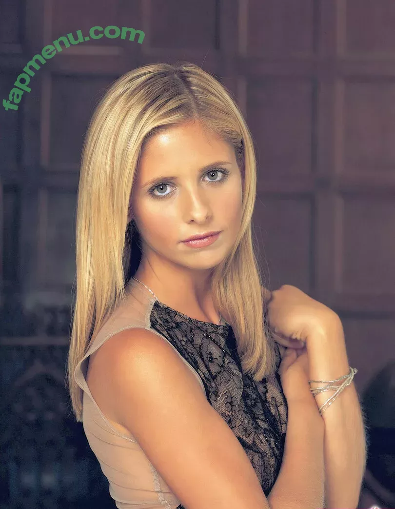 Sarah Michelle Gellar nude photo #0361 (sarahmgellar)
