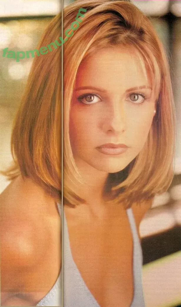 Sarah Michelle Gellar nude photo #0369 (sarahmgellar)