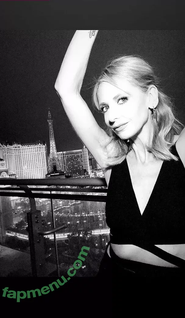 Sarah Michelle Gellar nude photo #0419 (sarahmgellar)