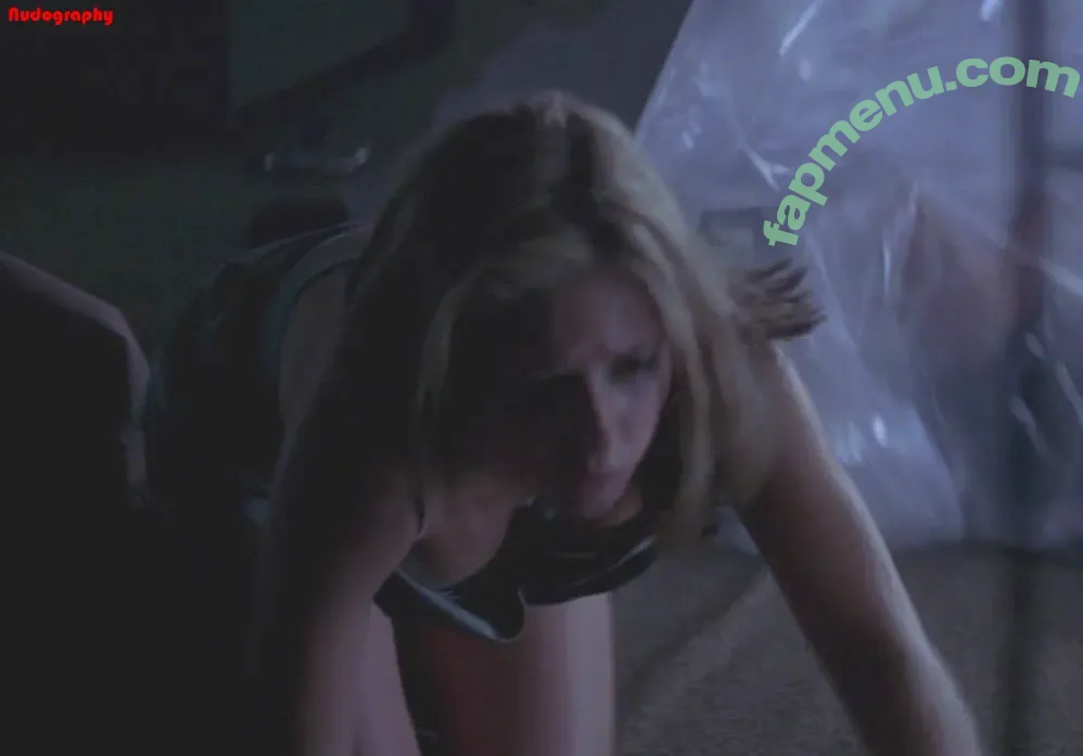 Sarah Michelle Gellar nude photo #0856 (sarahmgellar)